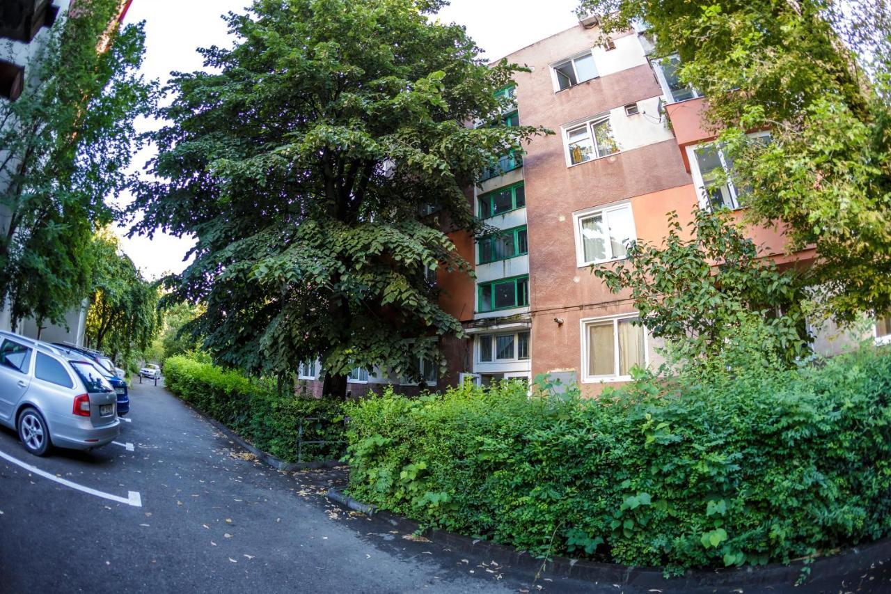 Apartament Family Rivulus 8 바이아마레 외부 사진
